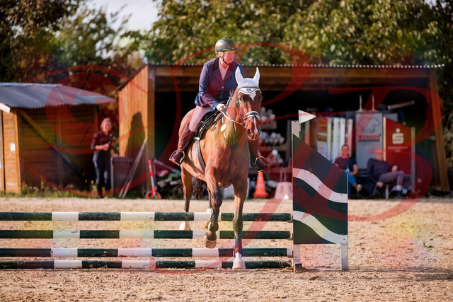 2026_10_03_Siefer-Hof_160637_Z81_88382904 | Professionelle Reitsport-, Turnier- und Eventfotografie von Robert Broda. Galerien mit ausgewählten und bearbeiteten Bildern direkt online ansehen und bestellen.