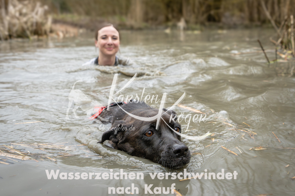 1248_ZZ91436 | kk-dogfotos