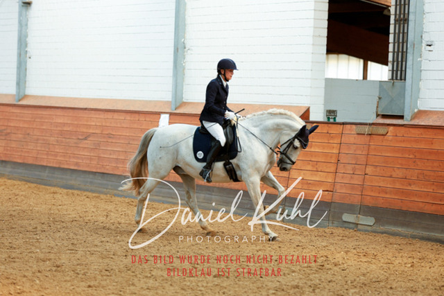 _62_7235 | Turniersportfotografie; Pferdefotografie; Dressurfotografie