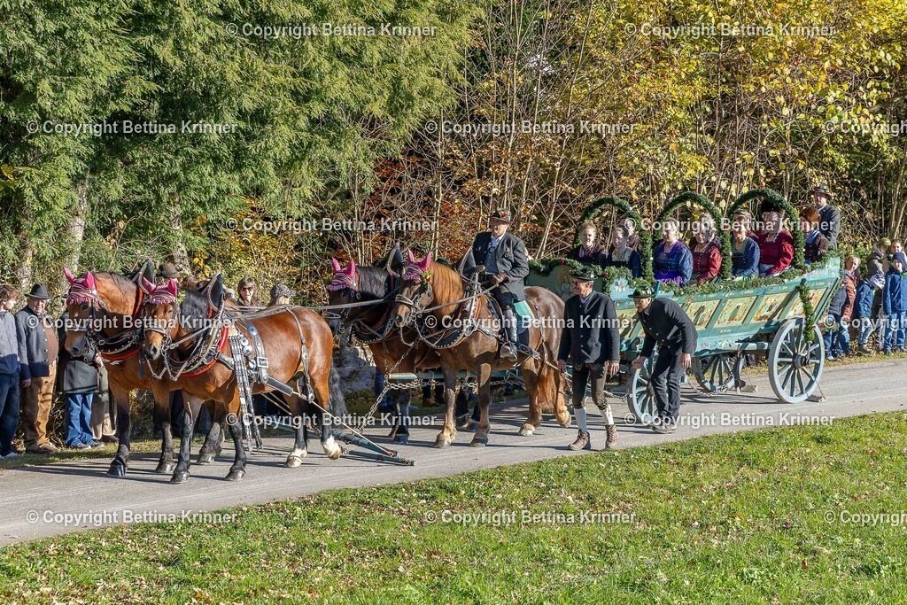 LBT25-119 | foto-bettina-krinner - Realisiert mit Pictrs.com