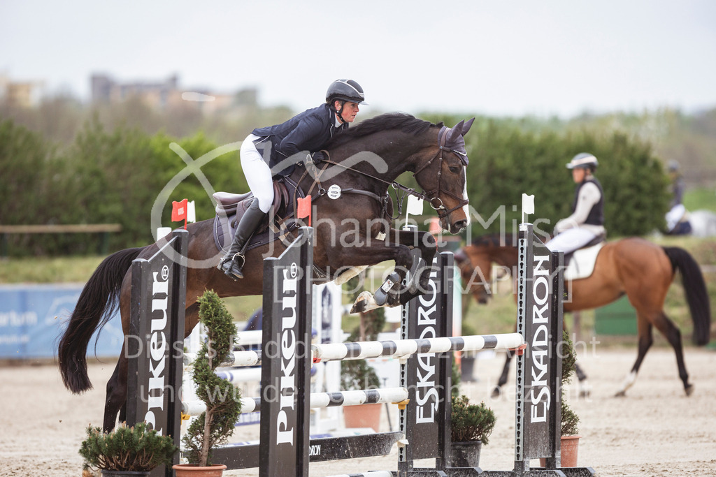 250417_Springpferde-A1-127 | Deine schönsten Turniermomente als professionelle Fotos! Entdecke hochwertige Pferdesport-Fotografie im Online-Shop. Jetzt Fotos finden & bestellen!