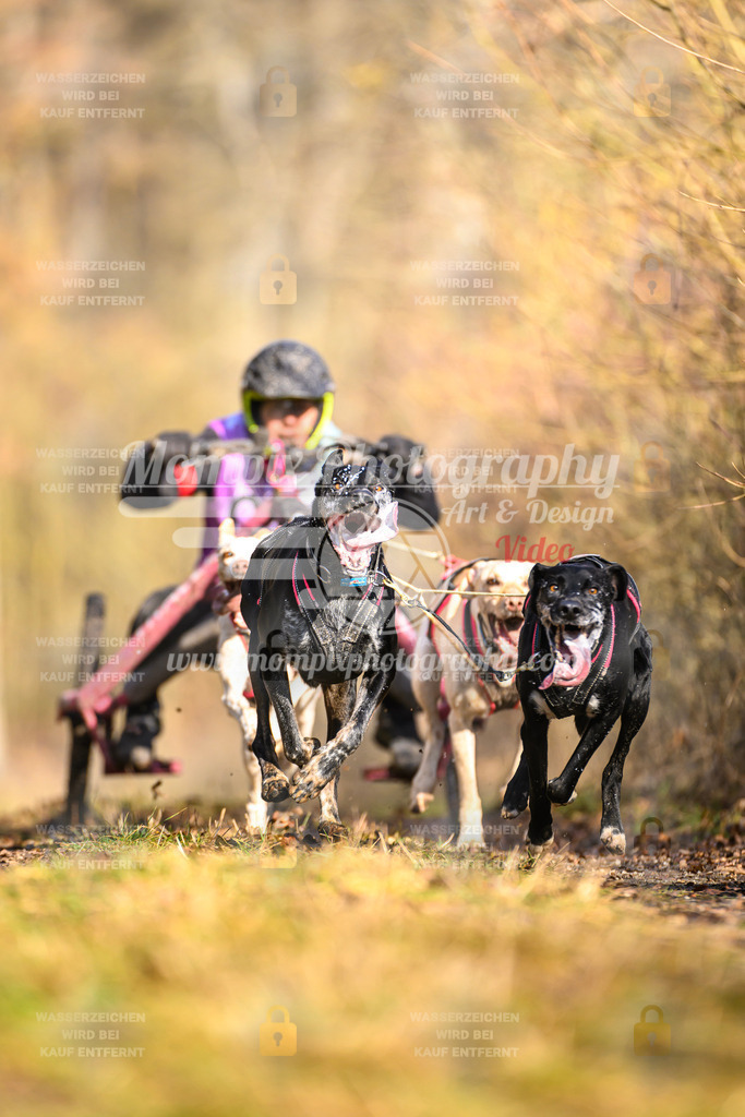 MompixPhotography_Schwabentrail2025_SO_Kart-10 | PayLife