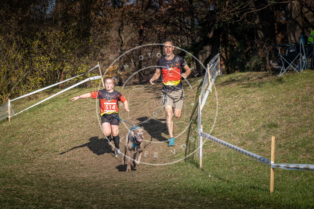 CaniXpix_0L8A8396 | Hundefotografie, Tierfotograf, Pfotenfotografie, Fotoshooting Hund, Hunde Portrait, Hundesport, Hundeportraits, Heideshooting, Hunde, Sportfotograf, Hundefotograf, Turnierhundsport, THS,  - Realisiert mit Pictrs.com