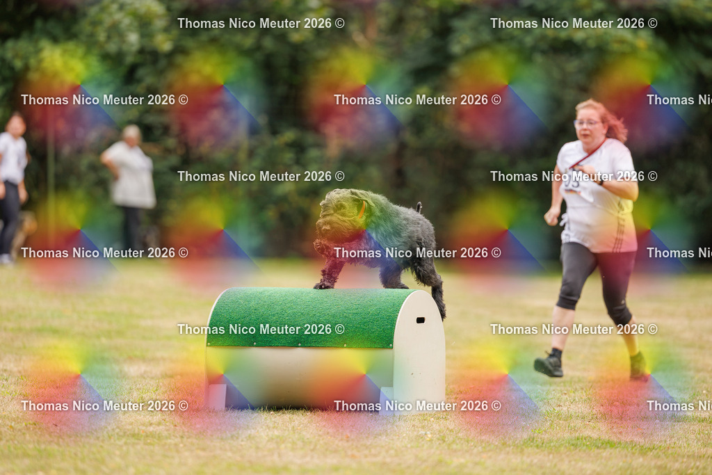 Thomas_Nico_Meuter(C)_22. August 2026_223A3867 | Bild von Thomas Nico Meuter - Realisiert mit Pictrs.com