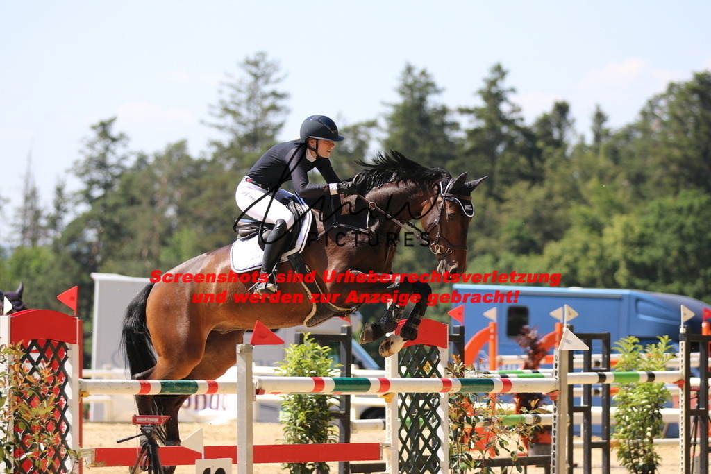 IMG_2772 | lmwpictures - Realisiert mit Pictrs.com