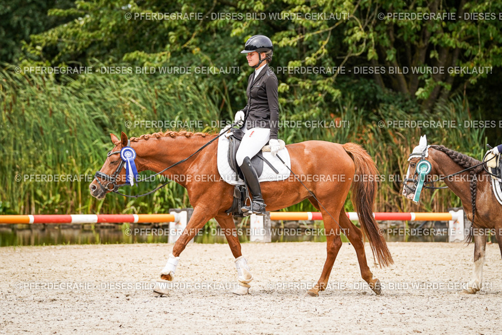 DSC04676 | Pferdegrafie