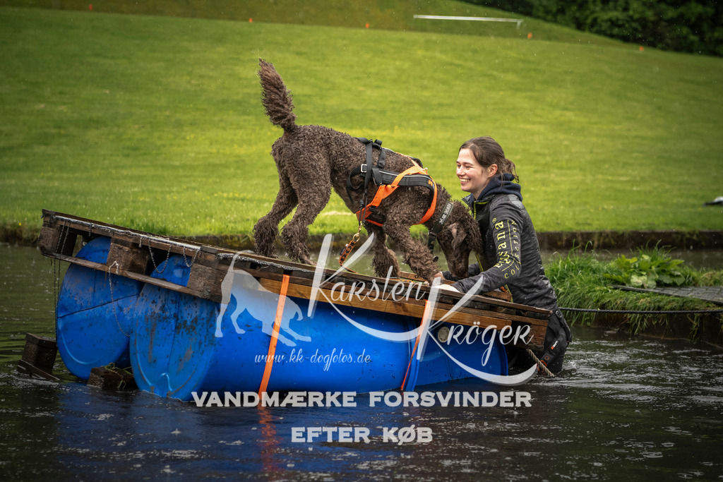 1554_ZZ95655-2 | kk-dogfotos