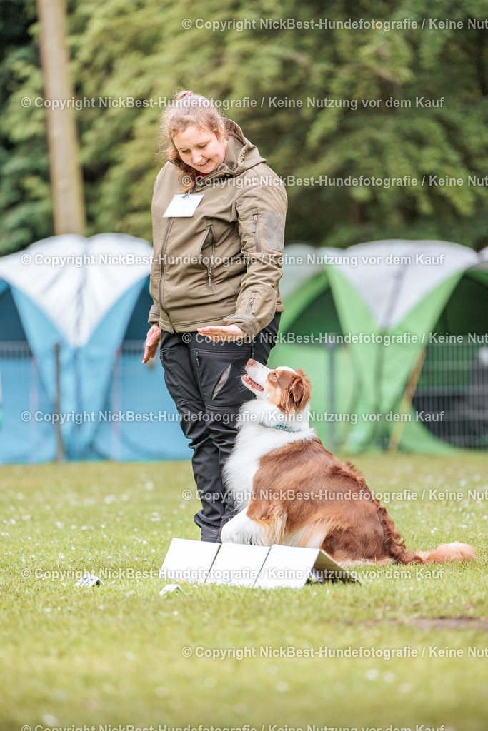 RO-Blumenthal-2026-Nickbest-Hundefotografie-1237 | Dein Hund! Dein Moment! Deine Erinnerungen! Hundefotografie in Bremen Blumenthal. Ich fange die besonderen Momente deines Vierbeiners ein – ob Indoor mit Blitzanlage oder in der freien Natur. Sicher dir dein Moment und dein Termin für eure Erinnerungen.
