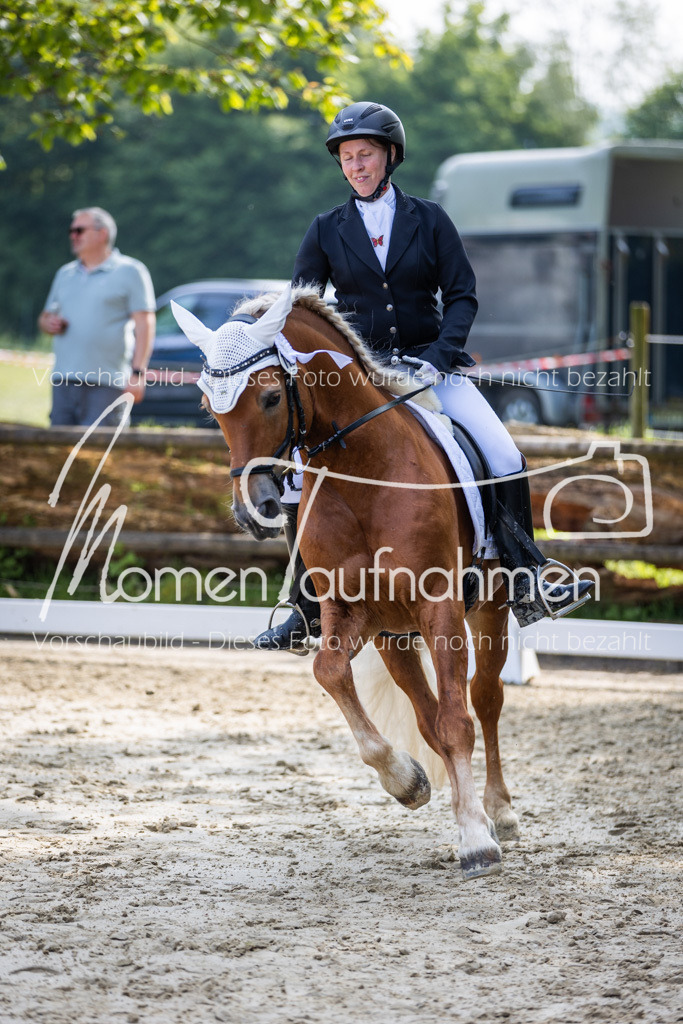 Donop24-A2-Dre-098 | MomenTaufnahmen Pferdesportfotos