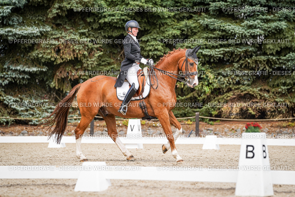 DSC06536 | Pferdegrafie