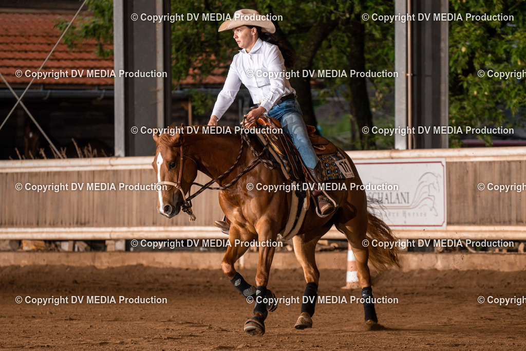 Erbach Tag 3-938 | dv-media-shop - Realisiert mit Pictrs.com