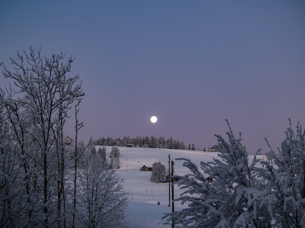 PSX_20230207_233342 | OLYMPUS DIGITAL CAMERA - Realisiert mit Pictrs.com