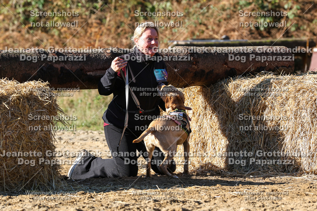 Dog Paparazzi - Strongdog 10-25-2127 | Dog Paparazzi Jeanette Grottendiek Fotografie & Videografie - Realisiert mit Pictrs.com