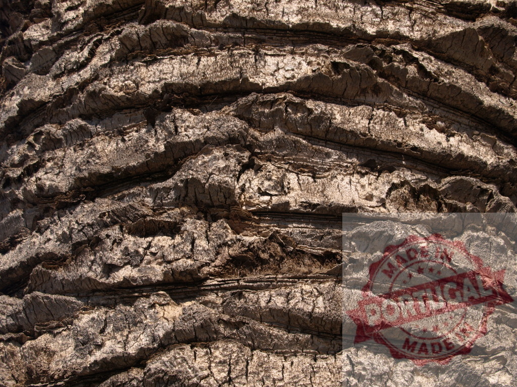 Palm tree bark providing rough textured natural background | Palm tree bark forming a rough, natural, and earthy texture - Realisiert mit Pictrs.com