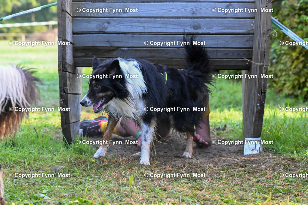 DSC_4036 | Hallo und herzlich Willkommen auf meiner Shop-Seite Fynn Most.

Ich wünsche Dir viel Spaß beim stöbern durch die Bilder, wenn Du Fragen hast oder Bilder vermisst, kannst du mir gerne eine Nachricht schreiben. - Realisiert mit Pictrs.com