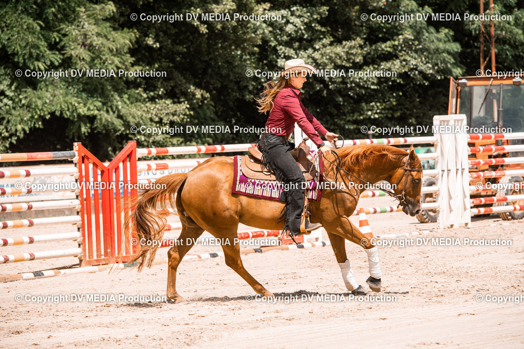 ZS3_0032 | dv-media-shop - Realisiert mit Pictrs.com