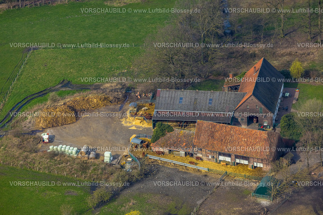 Lippetal240307000Lippborg | Luftbild, landwirtschaftlicher Rinder-Hof mit Milchkuhhaltung, Herzfelder Straße, Lippborg, Lippetal, Nordrhein-Westfalen, Deutschland