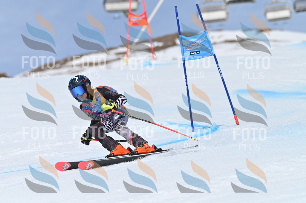 BGV_1264 | holidayphoto