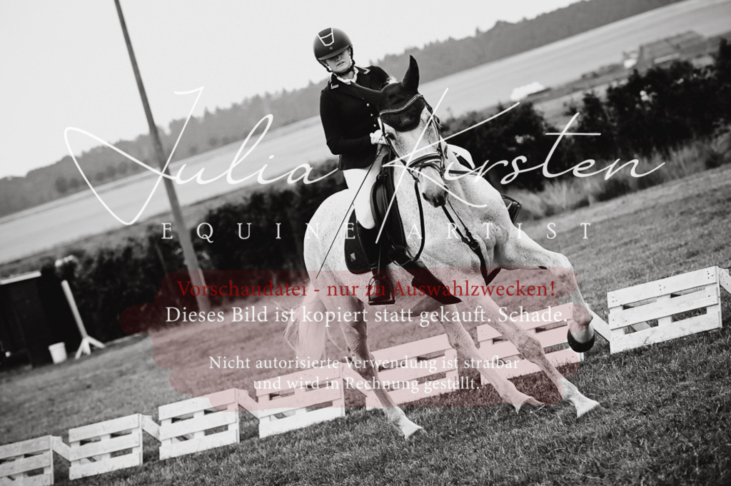 DSC_5024 | Pferde- und Turnierfotografie in Westsachsen. Pferdeportraits, Auftragszeichnungen und intuitive Kunst.
