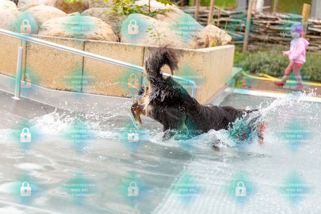 _HP_6190_1000o | HetPix, HetPix Fotodesign, Fotografie, Fotodesign, Webshop, Sportfotografie, Portraitfotografie, Onlineshop, Sportfotografie, Polch, Motorsportfotografie, Eventfotografie