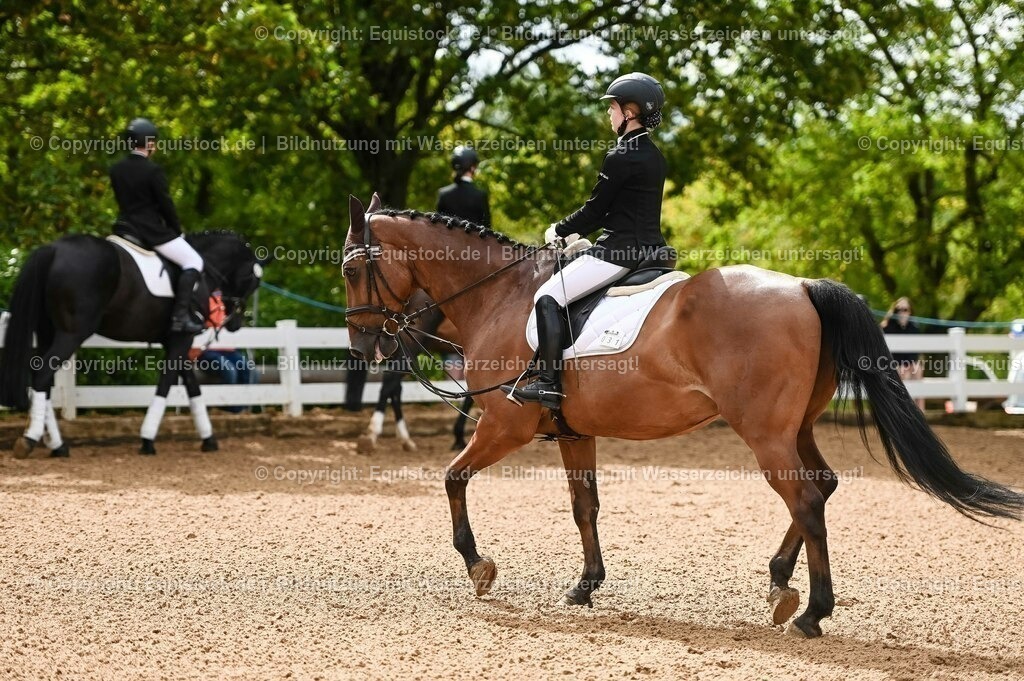 20230716_10-1_Reiter-WB Schritt - Trab - Galopp_0084 | equistock