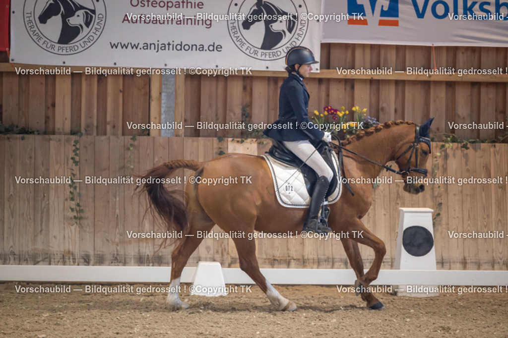 _D5A2098 | Emotionale Pferde- & People-Fotografie rund um Heidelberg, Leimen & Umgebung. Natürliche Fotos von Pferd, Mensch & Familie. Jetzt Termin sichern!