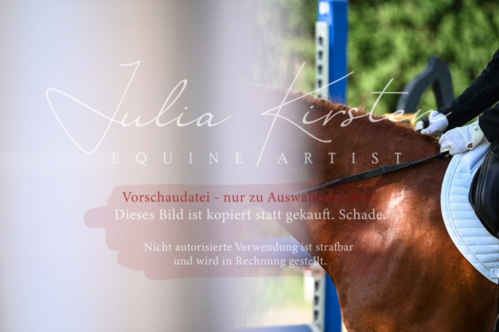 DSC_7771 | Pferde- und Turnierfotografie in Westsachsen. Pferdeportraits, Auftragszeichnungen und intuitive Kunst.