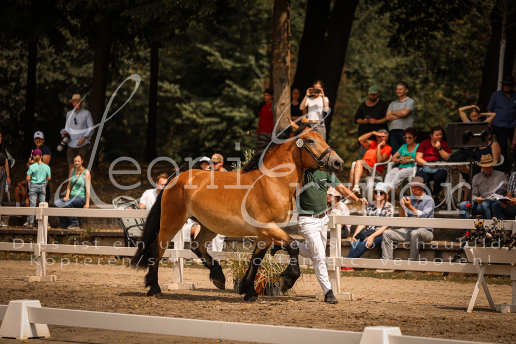 2.Sa00073 | Leoni Ertmer Photography - Realisiert mit Pictrs.com