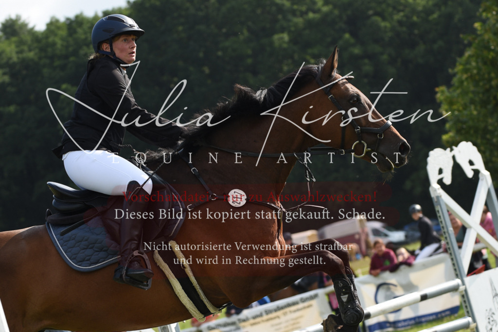 DSC_8752 | Pferde- und Turnierfotografie in Westsachsen. Pferdeportraits, Auftragszeichnungen und intuitive Kunst.