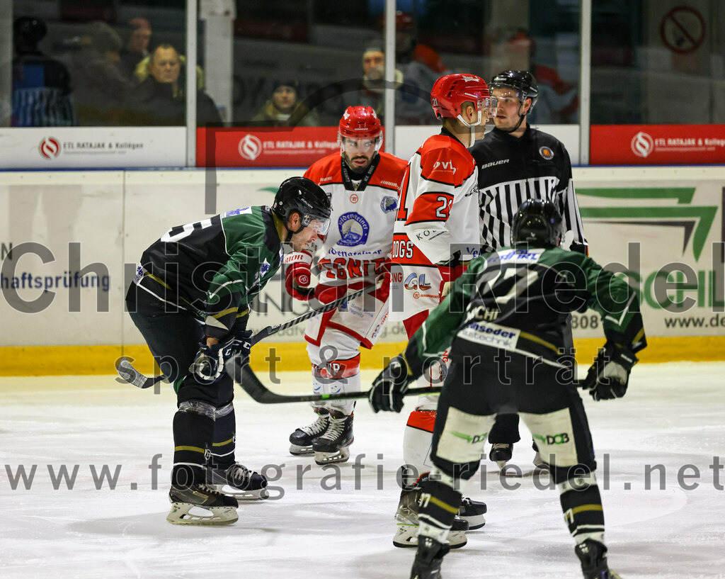 2022-12-02_021_TSV_Erding_gegen_EV_Pegnitz | Erding, Deutschland, 02.12.2022:
Eishockey, Bayernliga 2022 / 2023, 17. Spieltag, TSV Erding gegen EV Pegnitz, Endergebnis: 9:3

Thomas Plihal (Erding Gladiators, #65)

Foto: Christian Riedel / fotografie-riedel.net