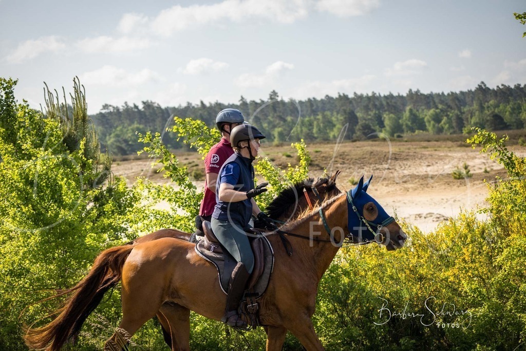 TrottBy_2026-05-30_80 | Fotografie, Veranstaltungs-Fotografie, Pferde-Fotografie, Landschafts-Fotografie, Reise-Fotografie - Realisiert mit Pictrs.com
