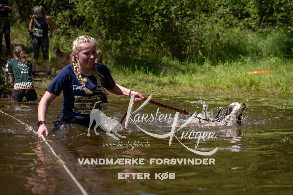 DK K991007141410 | kk-dogfotos