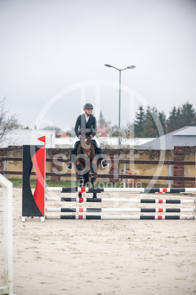 DSC_8382 | sattelsport - Realisiert mit Pictrs.com