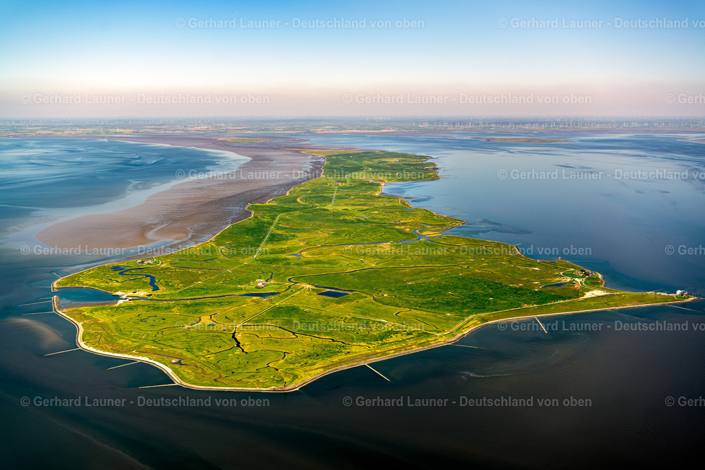 3801895 | Nordmarsch-Langeness, Nationalpark Schleswig-Holsteinisches Wattenmeer