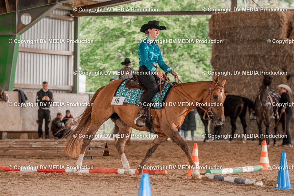 Balingen Tag 3-810 | dv-media-shop - Realisiert mit Pictrs.com