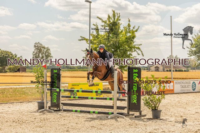 26-7-23 SPR A++-698 | mandyhollmannphotographie