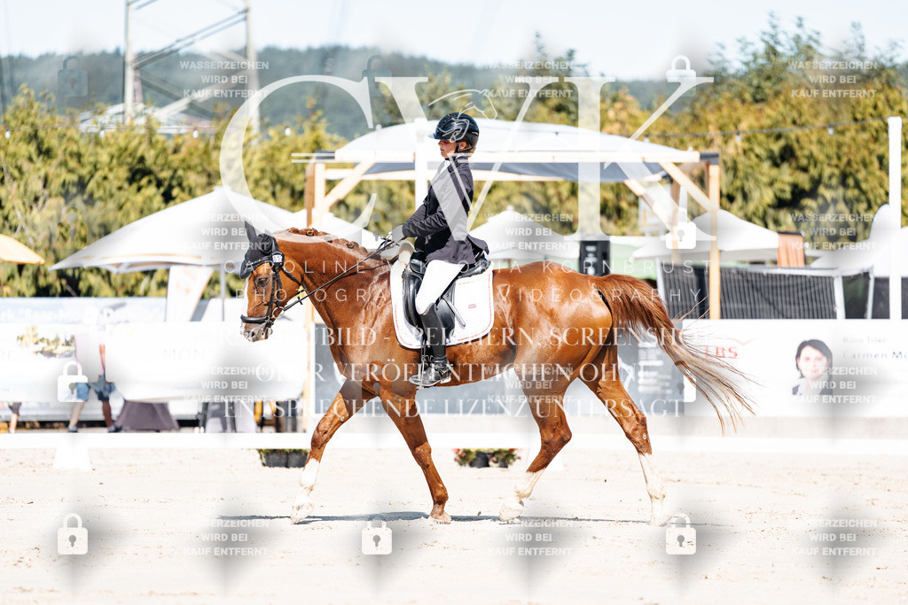 CK908959 | Turnierfotografie Pferdefotografie Trier Rheinland-Pfalz Pferdesport Reitsport Tierfotografie Sportfotografie Pferdevideo Pferdevideografie Equestrianvideography equestrianphotography  - Realisiert mit Pictrs.com
