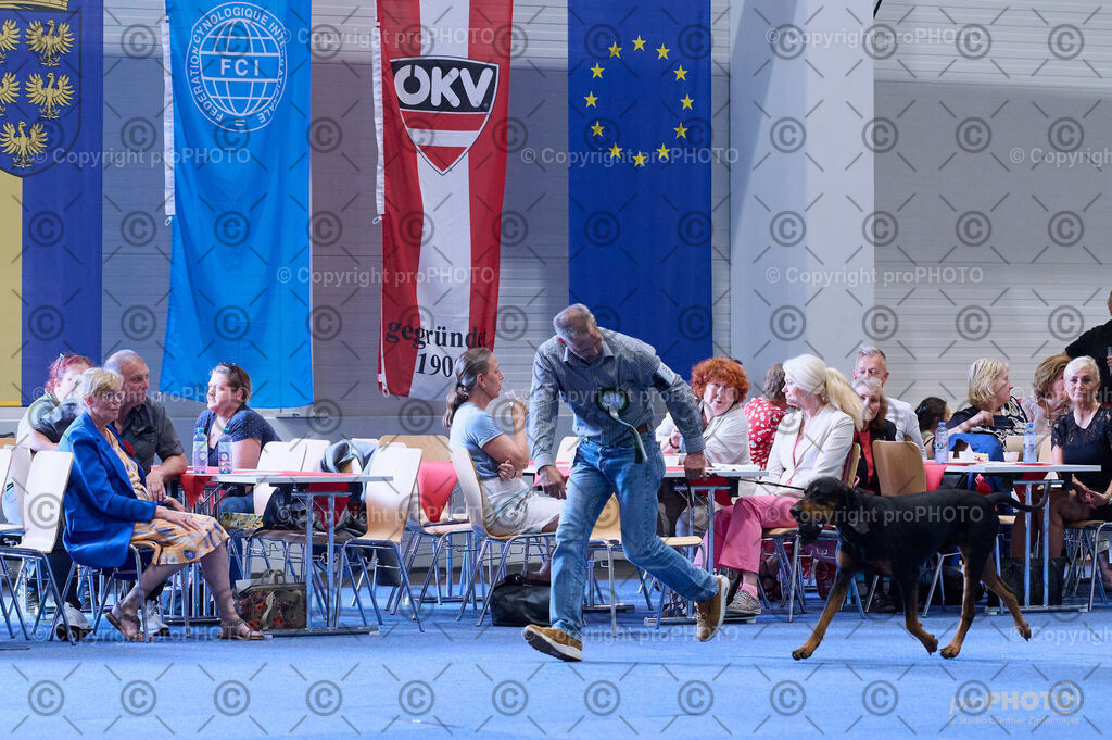 202406_ÖKV-IHA-Tulln24_DSC_4001 | proPHOTO - Realisiert mit Pictrs.com