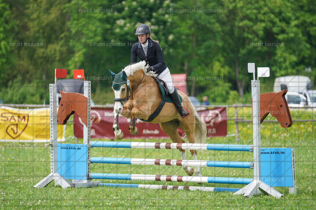20240509-FAH02766 | Turnierbilder der Turnierfotografen Bayern, Pferdesport Fotografie, Reitsportbilder, Turnier Landberg am Lech, Turnierbilder bayern, Fotoagentur Herrmann
