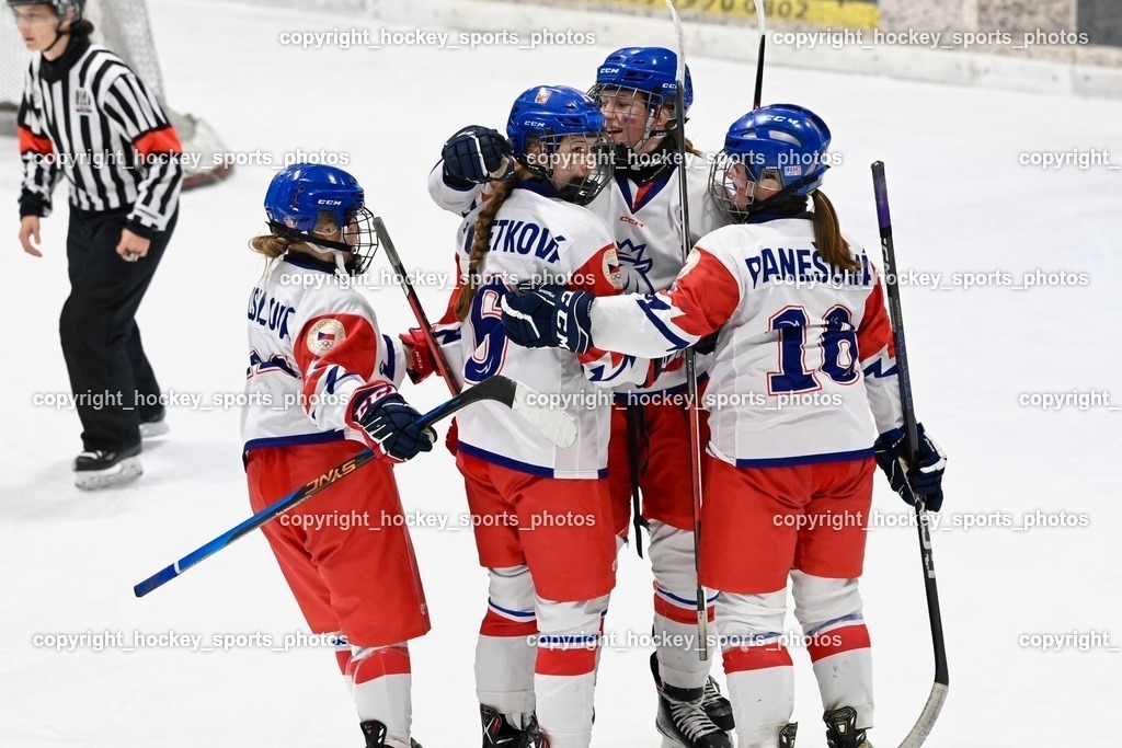 BST_4074 | hockey sports photos, Pressefotos, Sportfotos, hockey247, win 2day icehockeyleague, Handball Austria, Floorball Austria, ÖVV, Kärntner Eishockeyverband, KEHV, KFV, Kärntner Fussballverband, Österreichischer Volleyballverband, Alps Hockey League, ÖFB, 