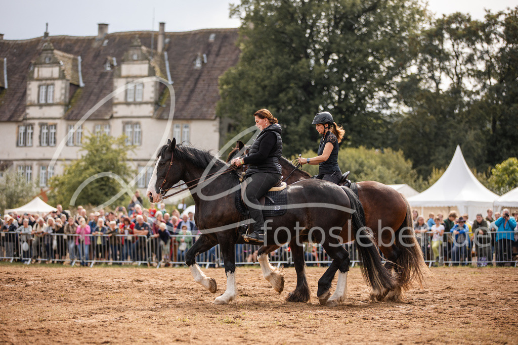 846A3977 | fotosleben - Realisiert mit Pictrs.com