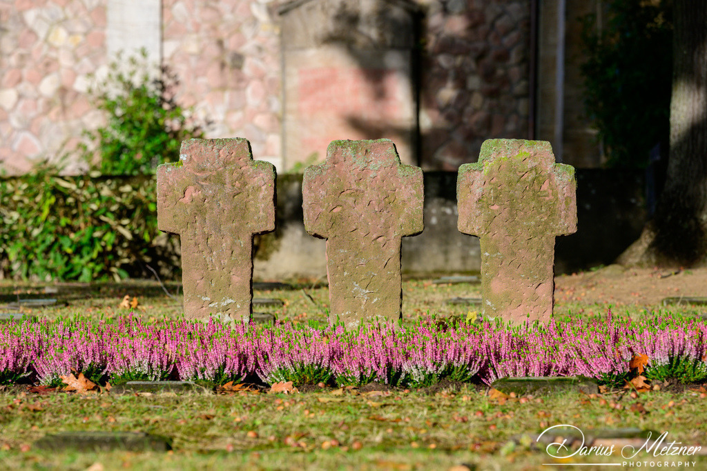 Der alte Hauptfriedhof in Mainz | Der alte Hauptfriedhof in Mainz
