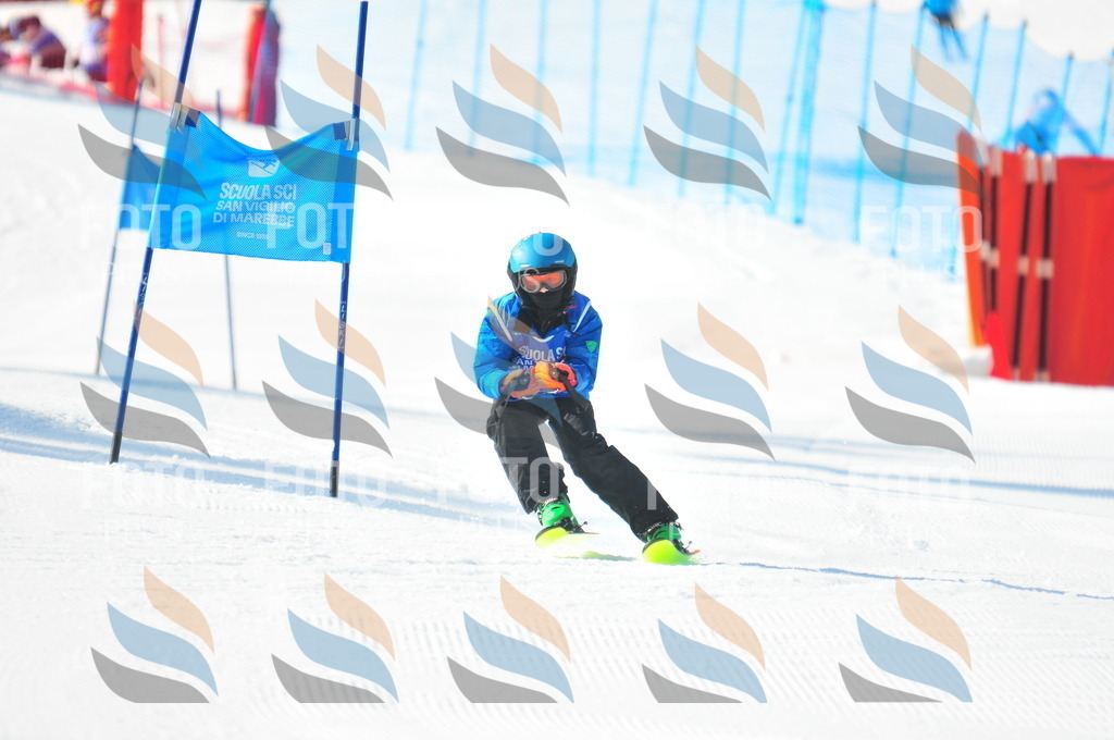 B8769 | holidayphoto