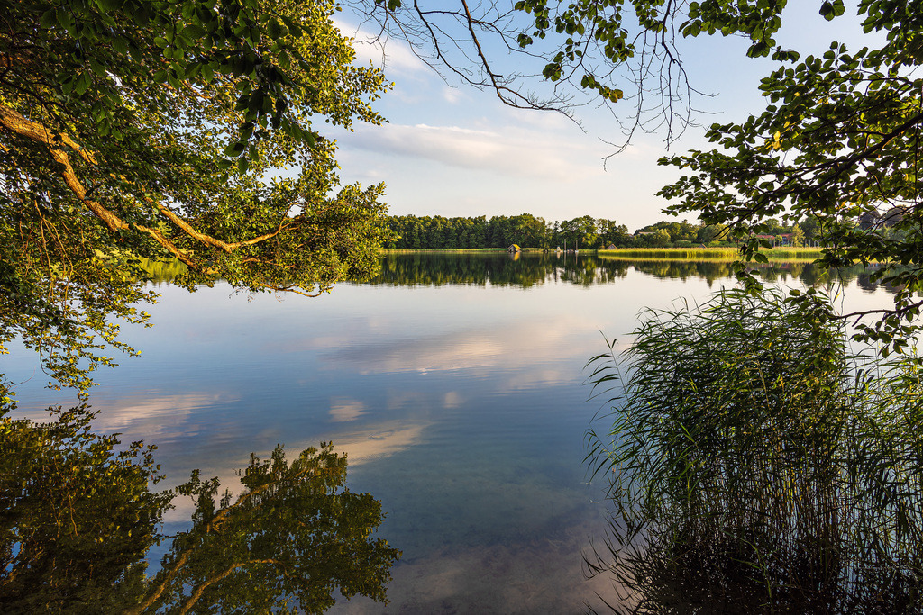 Seeblick mit Bäumen in Seedorf am Schaalsee | Seeblick mit Bäumen in Seedorf am Schaalsee.