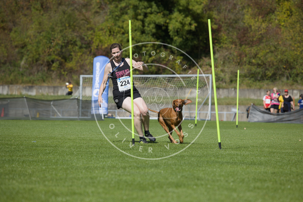 0L8A5991 | Hundefotografie, Tierfotograf, Pfotenfotografie, Fotoshooting Hund, Hunde Portrait, Hundesport, Hundeportraits, Heideshooting, Hunde, Sportfotograf, Hundefotograf, Turnierhundsport, THS,  - Realisiert mit Pictrs.com