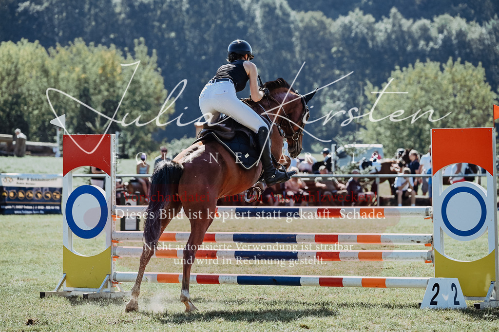 DSC_5752 | Pferde- und Turnierfotografie in Westsachsen. Pferdeportraits, Auftragszeichnungen und intuitive Kunst.