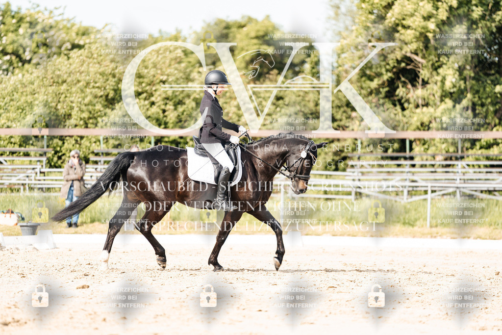 CK900291 | Turnierfotografie Pferdefotografie Trier Rheinland-Pfalz Pferdesport Reitsport Tierfotografie Sportfotografie Pferdevideo Pferdevideografie Equestrianvideography equestrianphotography  - Realisiert mit Pictrs.com