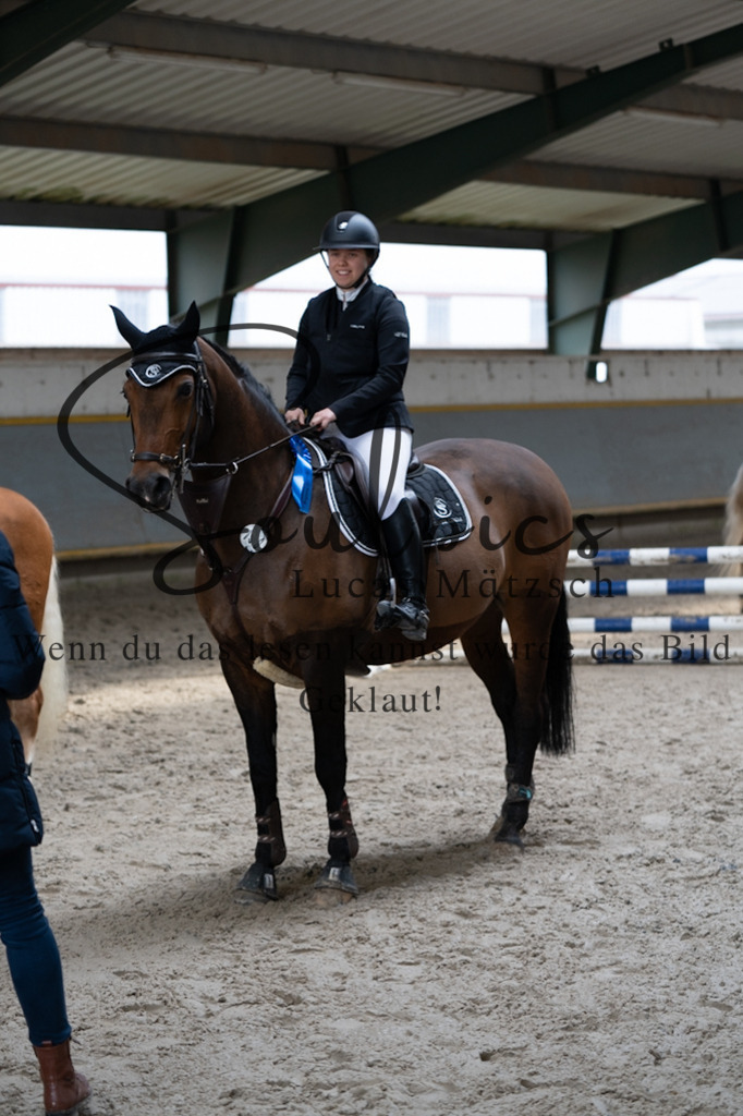 A7V07988 | Pferdefotograf