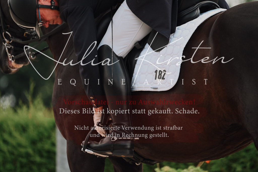 DSC_3977 | Pferde- und Turnierfotografie in Westsachsen. Pferdeportraits, Auftragszeichnungen und intuitive Kunst.