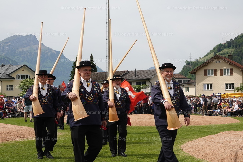 DSC04178 | Schwingen - Realisiert mit Pictrs.com